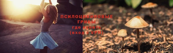 сатива Киренск