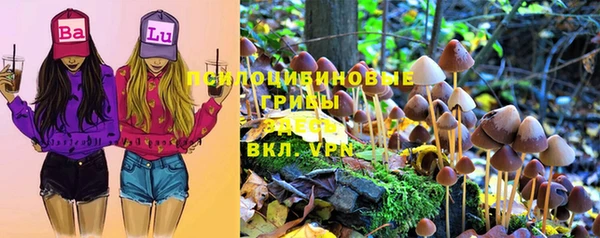 спиды Армянск