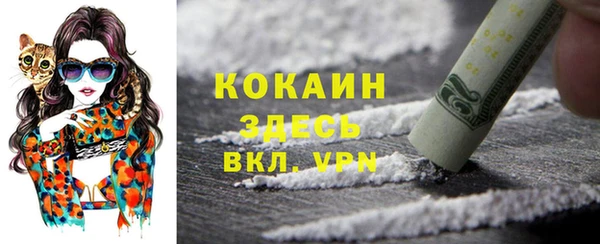 круглые Аркадак
