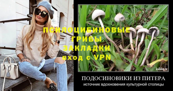 круглые Аркадак